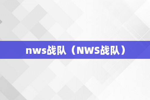 nws战队（NWS战队）