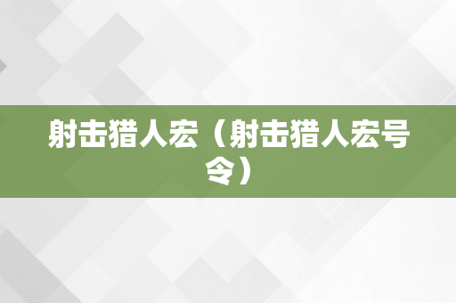 射击猎人宏（射击猎人宏号令）