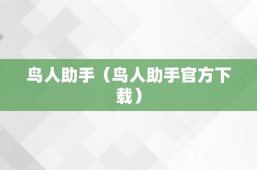 鸟人助手（鸟人助手官方下载）