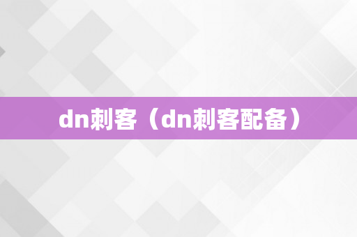 dn刺客（dn刺客配备）