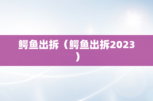 鳄鱼出拆（鳄鱼出拆2023）