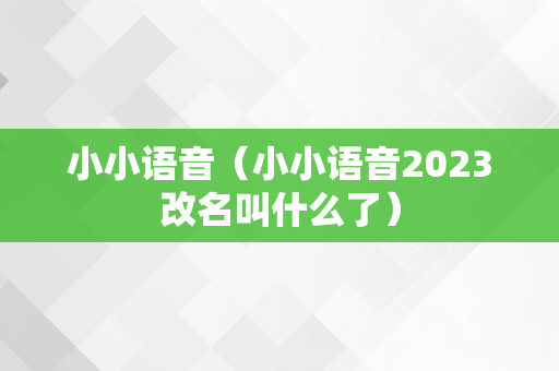 小小语音（小小语音2023改名叫什么了）