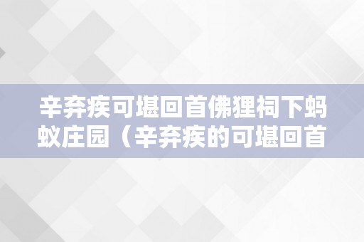 辛弃疾可堪回首佛狸祠下蚂蚁庄园（辛弃疾的可堪回首,佛狸）