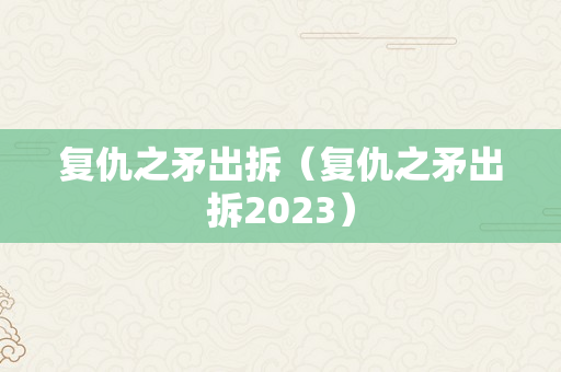 复仇之矛出拆（复仇之矛出拆2023）