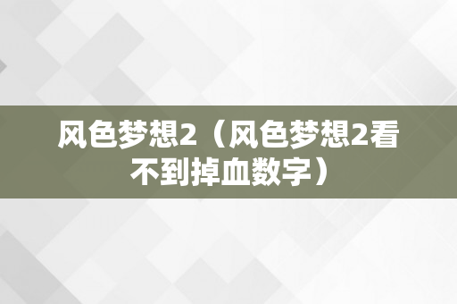 风色梦想2（风色梦想2看不到掉血数字）