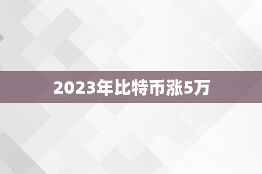 2023年比特币涨5万