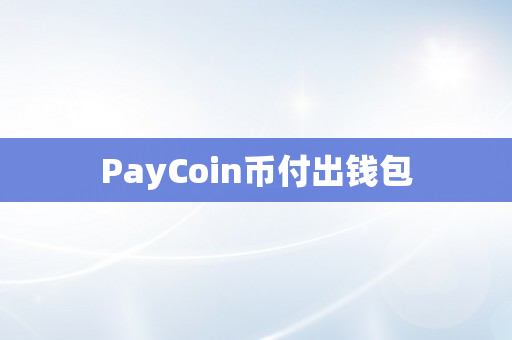 PayCoin币付出钱包