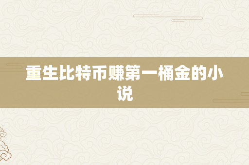 重生比特币赚第一桶金的小说