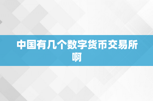 中国有几个数字货币交易所啊