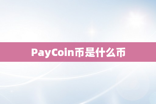 PayCoin币是什么币