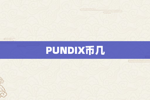 PUNDIX币几