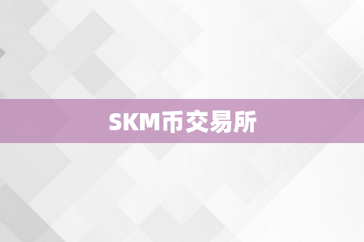 SKM币交易所