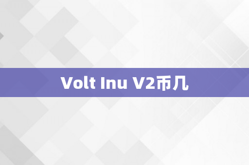 Volt Inu V2币几