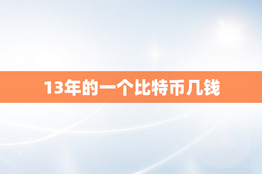 13年的一个比特币几钱