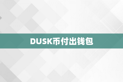 DUSK币付出钱包