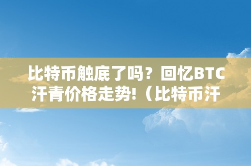 比特币触底了吗？回忆BTC汗青价格走势!（比特币汗青价格数据）（比特币触底了吗？）