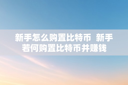 新手怎么购置比特币  新手若何购置比特币并赚钱