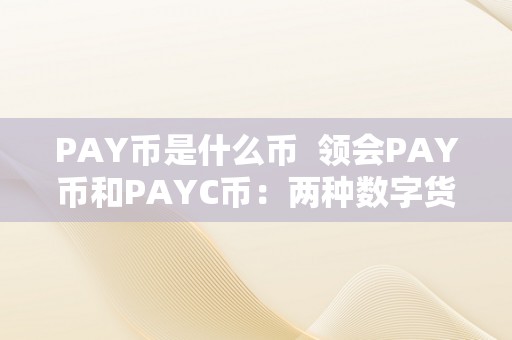 PAY币是什么币  领会PAY币和PAYC币：两种数字货币的介绍与区别