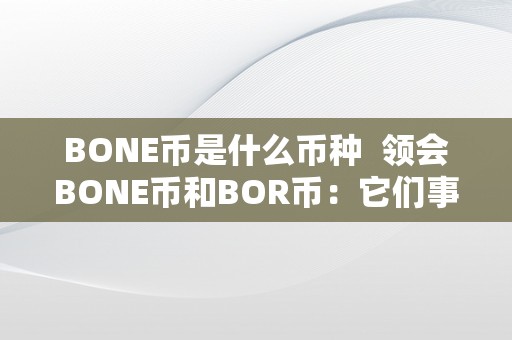 BONE币是什么币种  领会BONE币和BOR币：它们事实是什么币种？