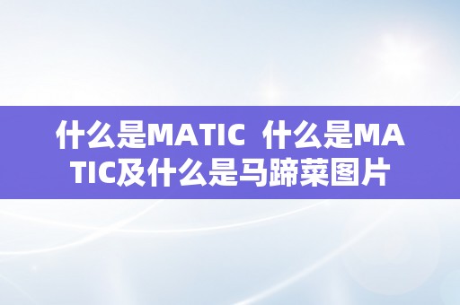 什么是MATIC  什么是MATIC及什么是马蹄菜图片