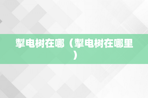 掣电树在哪（掣电树在哪里）