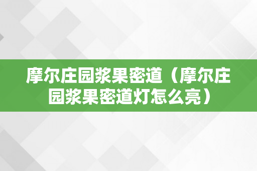 摩尔庄园浆果密道（摩尔庄园浆果密道灯怎么亮）