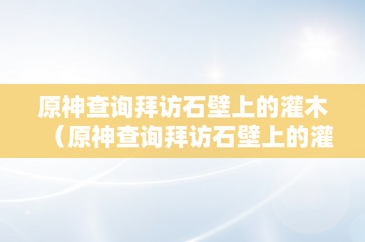 原神查询拜访石壁上的灌木（原神查询拜访石壁上的灌木位置）