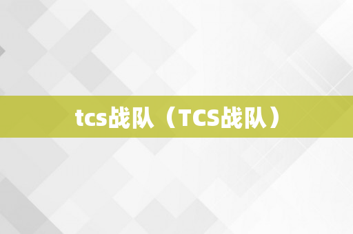 tcs战队（TCS战队）