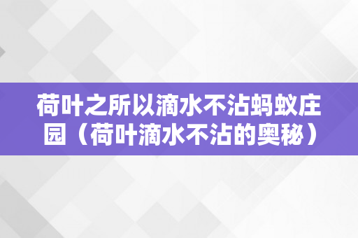 荷叶之所以滴水不沾蚂蚁庄园（荷叶滴水不沾的奥秘）